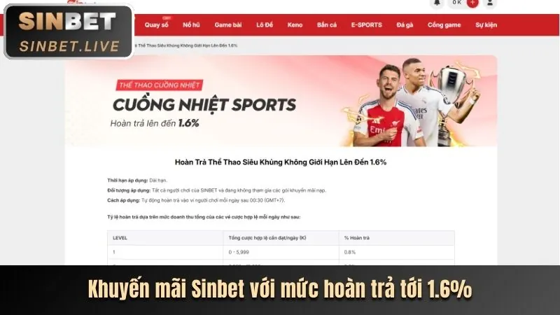 Hoàn trả cược hàng ngày/tuần tại 3bet vc